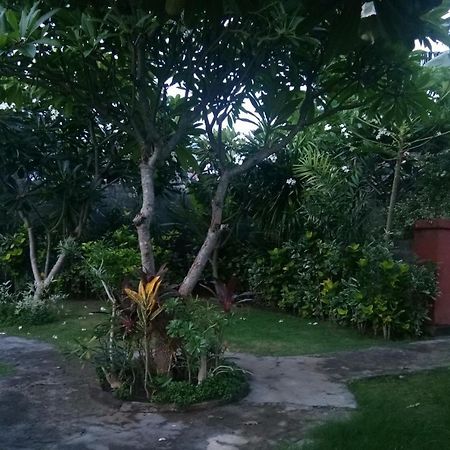 Molleh Guest House Pemuteran  Ngoại thất bức ảnh