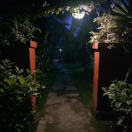 Molleh Guest House Pemuteran  Ngoại thất bức ảnh