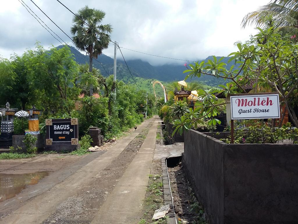 Molleh Guest House Pemuteran  Ngoại thất bức ảnh